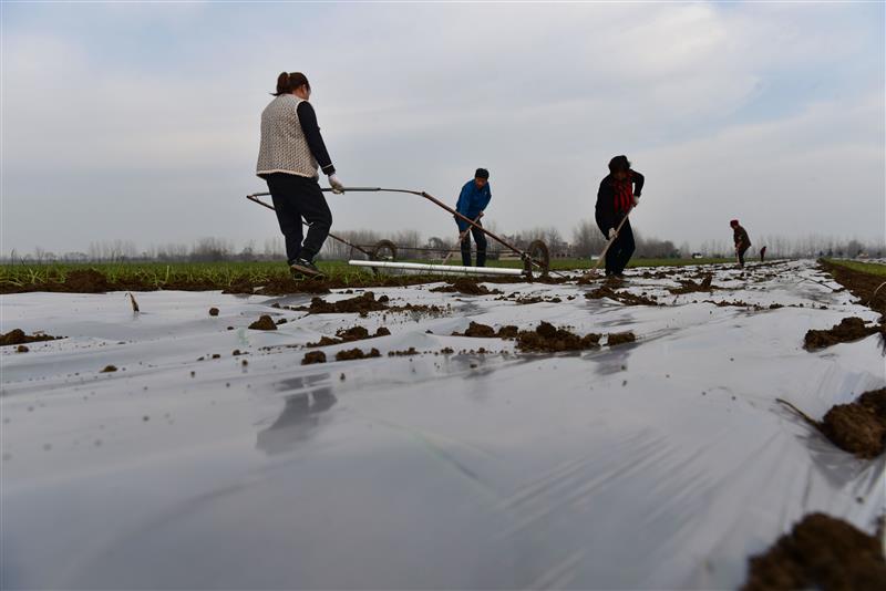 1670654158537566.jpg 20221209092012511452.jpg