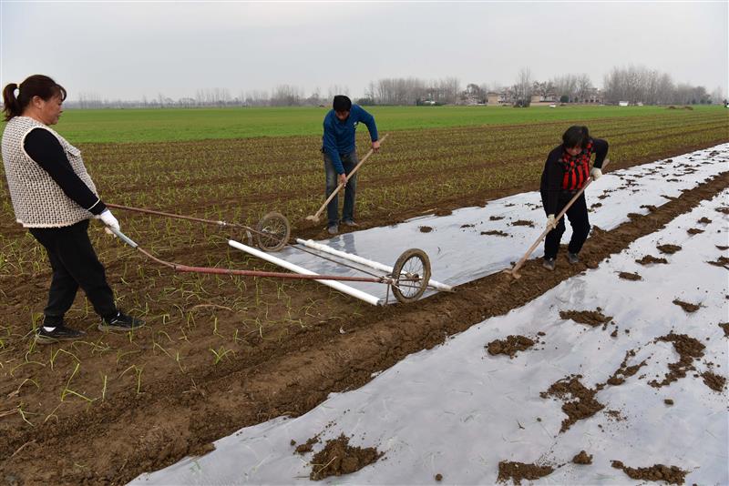 1670654164172006.jpg 20221209092013457605.jpg